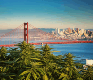 dispensaries near me